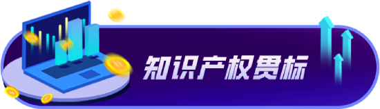 知識(shí)產(chǎn)權(quán)貫標(biāo)