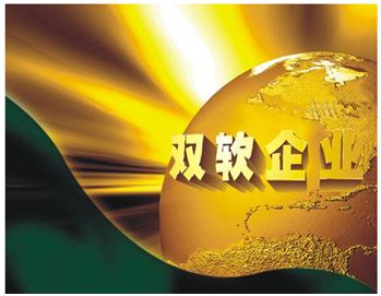 雙軟企業(yè)評估及認定