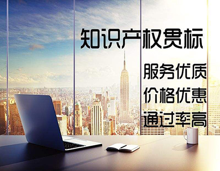深圳知識(shí)產(chǎn)權(quán)貫標(biāo)