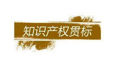 深圳知識(shí)產(chǎn)權(quán)貫標(biāo)