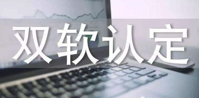 雙軟企業(yè)評估及認(rèn)定