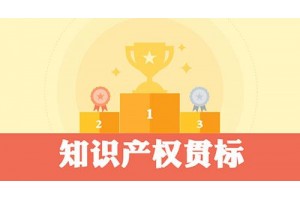 知識(shí)產(chǎn)權(quán)貫標(biāo)