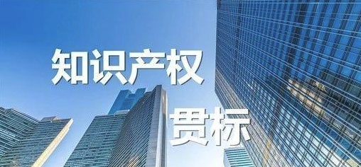 知識(shí)產(chǎn)權(quán)貫標(biāo)